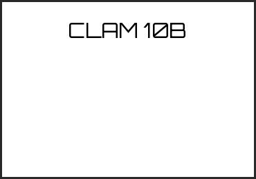 Picture for category CLAM 10B