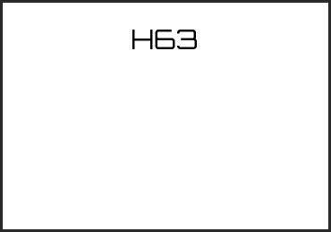 Picture for category H63