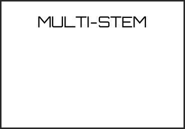 Picture for category MULTI-STEM