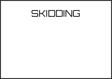 Picture for category SKIDDING