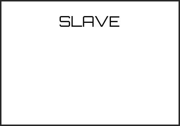 Picture for category SLAVE