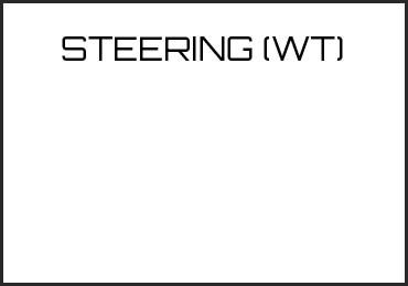 Picture for category STEERING (WT)