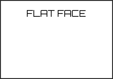 Picture for category FLAT FACE