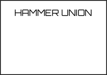 Picture for category HAMMER UNION