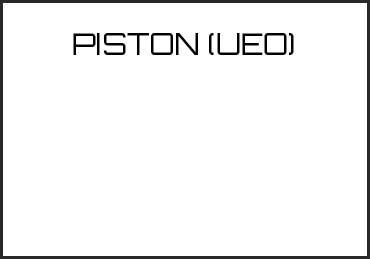 Picture for category PISTON (UEO)