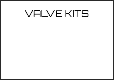 Picture for category VALVE KITS