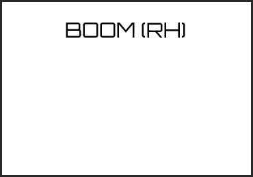 Picture for category BOOM (RH)
