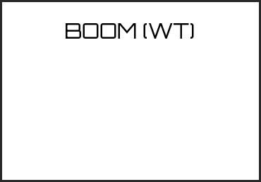 Picture for category BOOM (WT)