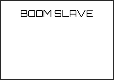 Picture for category BOOM SLAVE