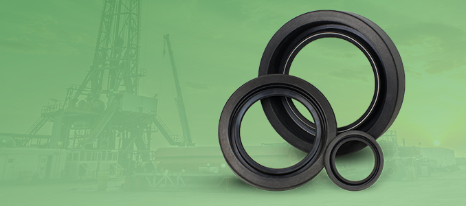 Oil and gas seals