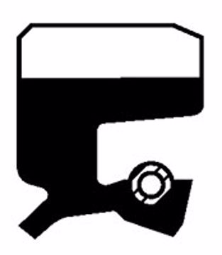 Picture of OIL SEALS INCH